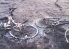 Burned Bicycles