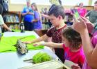 Summer at the Library: Big Attendance for Creature Teacher