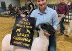 Results from the 2022 Cisco Livestock Show